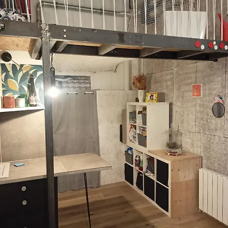 Appartement D'Architecte A Vivre, En Plein Centre Апартаменты Лион