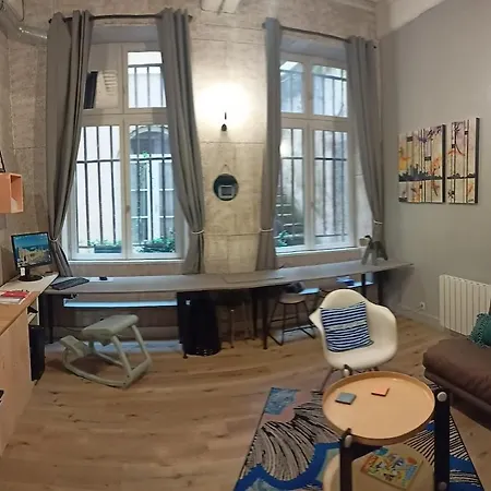 Apartment Appartement D'Architecte A Vivre, En Plein Centre Lyon